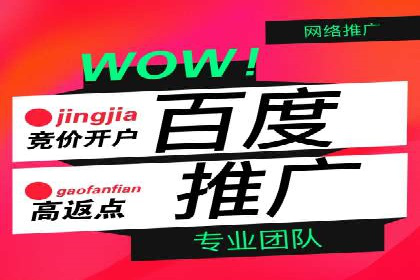 SEM主管实战案例：广告投放策略优化