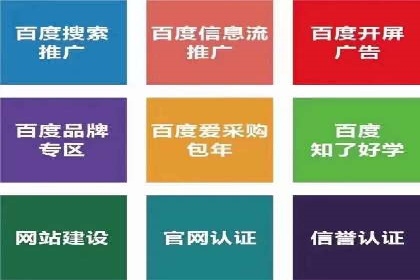 百度平台推广策略及成功案例解析
